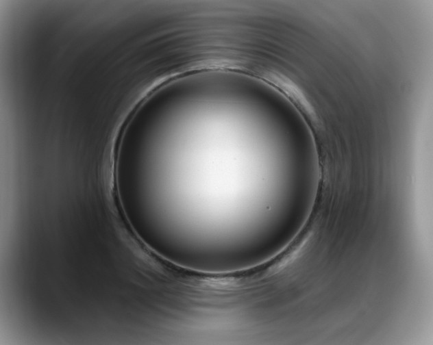 X0000088890844200706081246