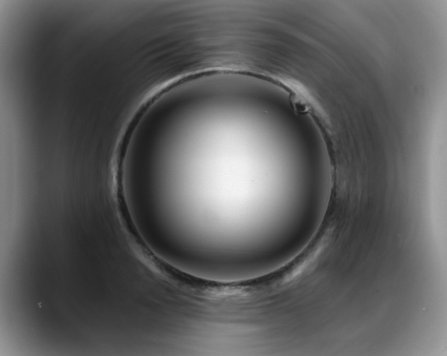 X0000088890846200706081246