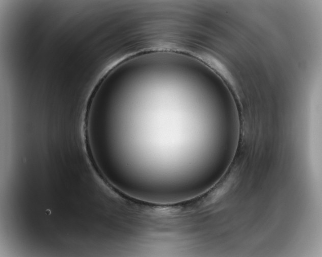 X0000088890847200706081246