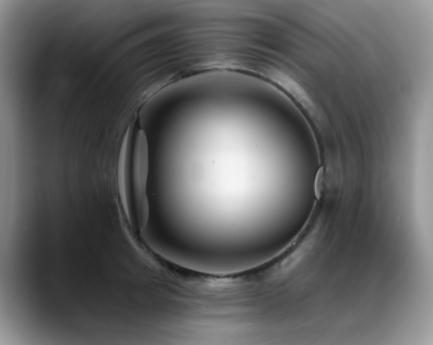 X0000088890849200706081246