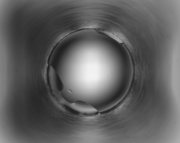 X0000088890850200706081246