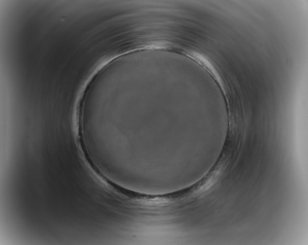 X0000088890851200706081246