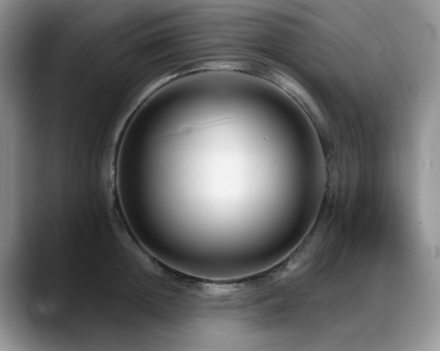 X0000088890852200706081246