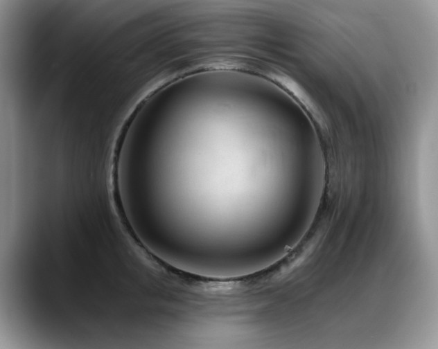 X0000088890853200706081246