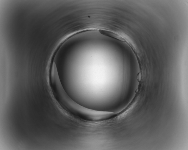 X0000088890854200706081246