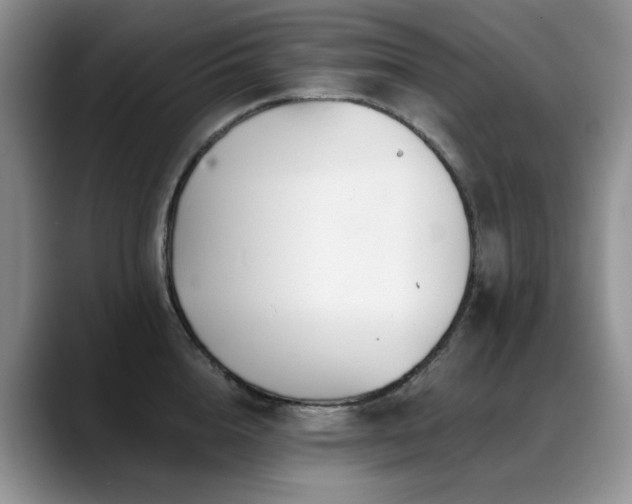 X0000088890856200706081246