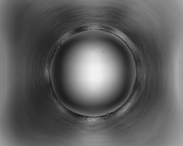 X0000088890857200706081246