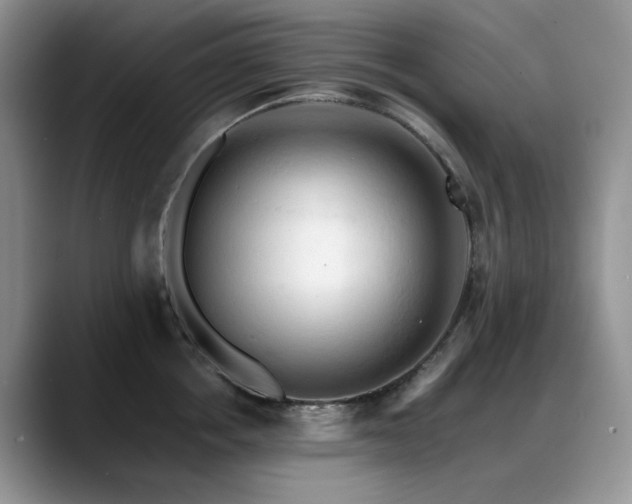 X0000088890858200706081247