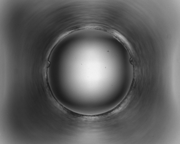 X0000088890860200706081247