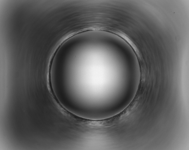 X0000088890861200706081247