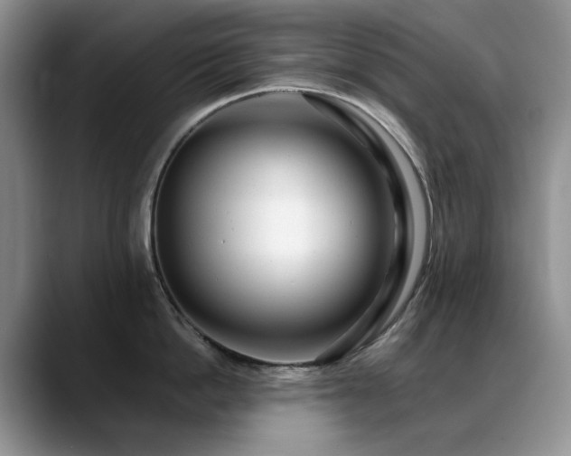 X0000088890862200706081247