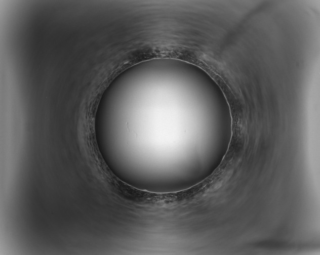 X0000088890865200706081246