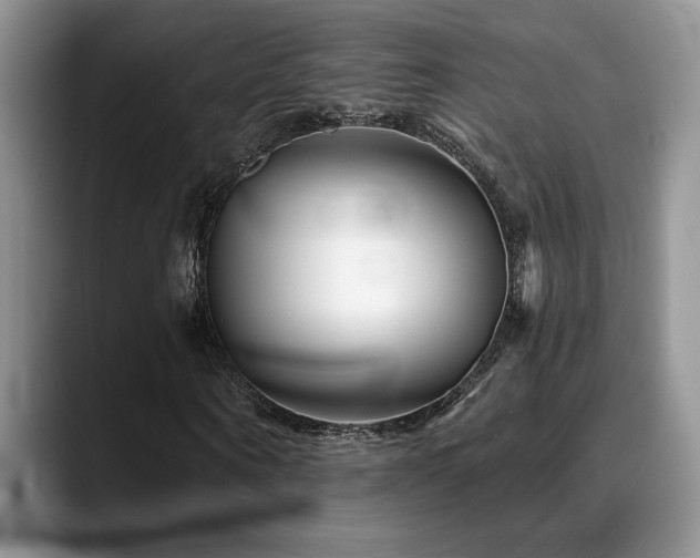 X0000088890866200706081246