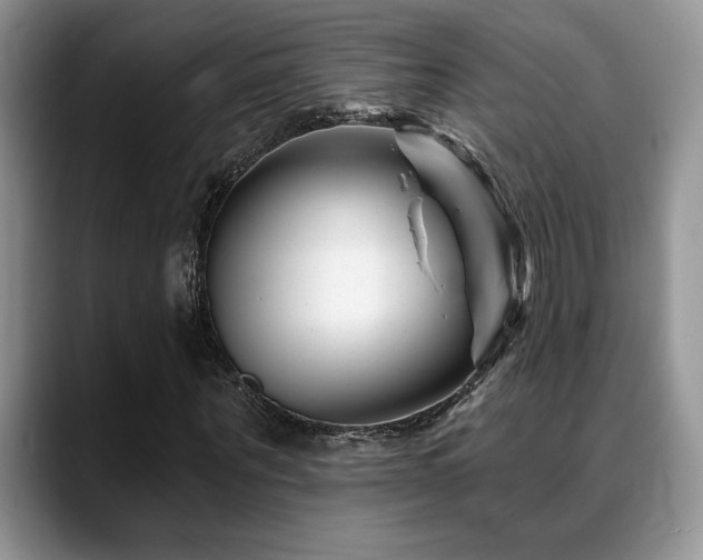 X0000088890867200706081246