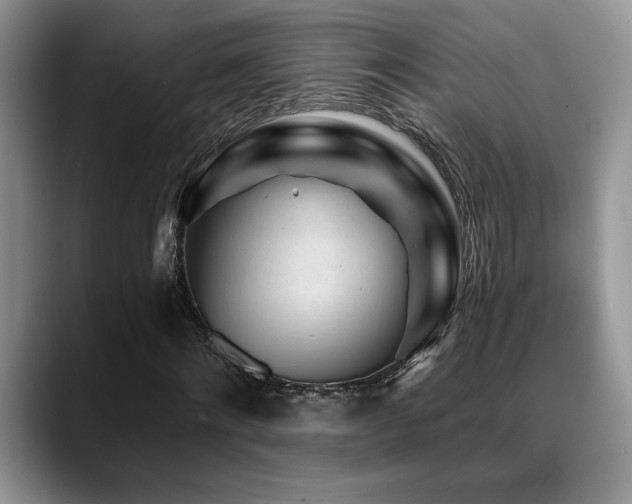 X0000088890868200706081246