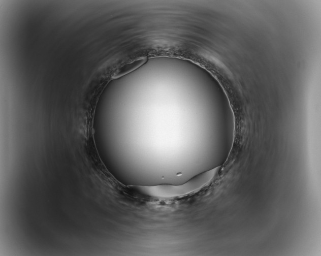 X0000088890869200706081246