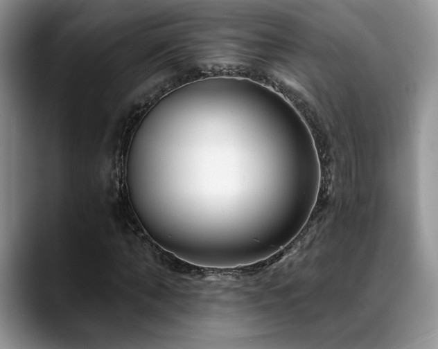 X0000088890870200706081246