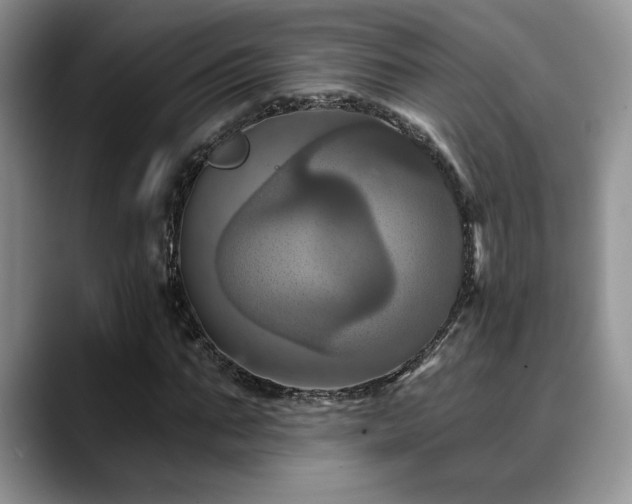 X0000088890871200706081246