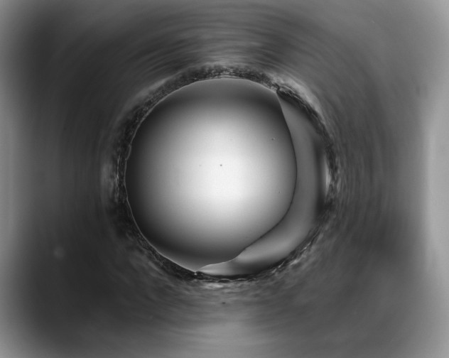 X0000088890872200706081246