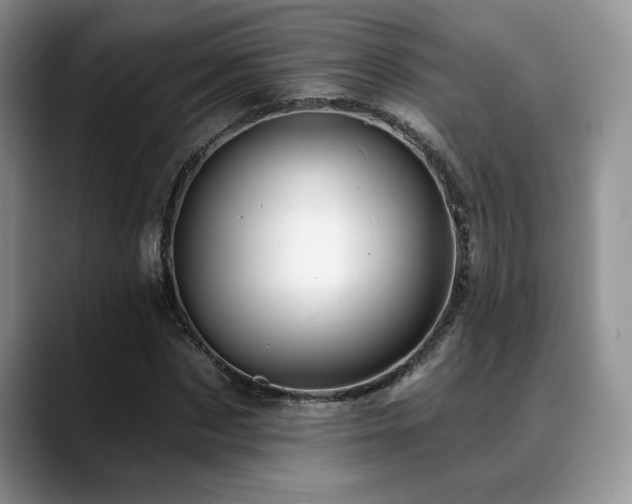 X0000088890873200706081246