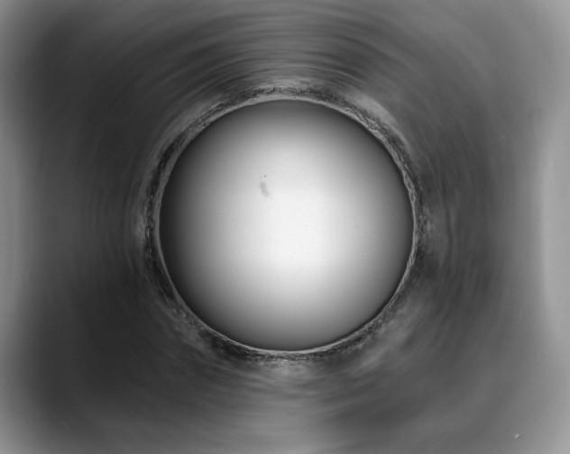 X0000088890874200706081246