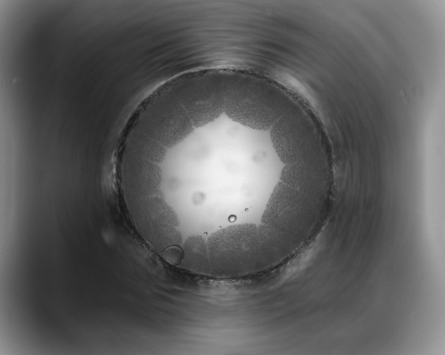 X0000088890875200706081246