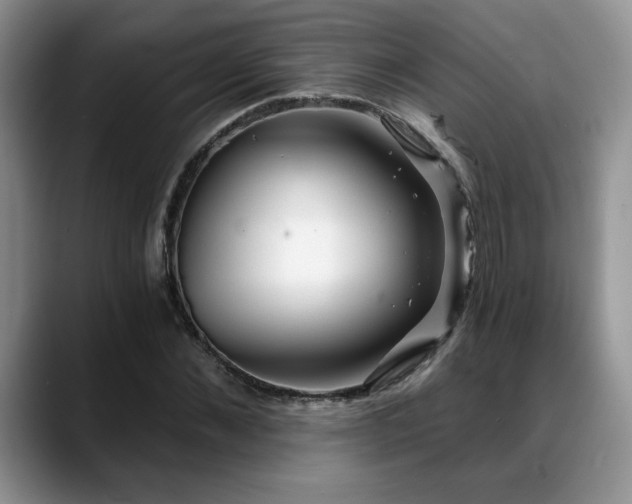 X0000088890876200706081246