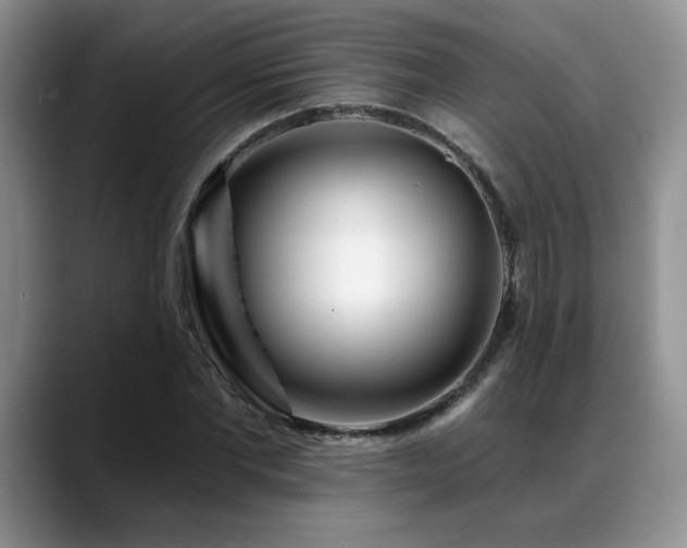 X0000088890877200706081246