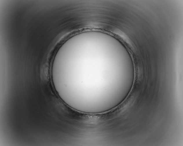 X0000088890878200706081246