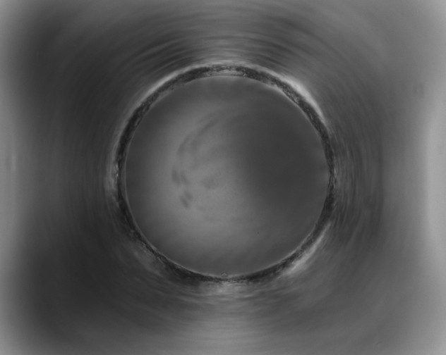 X0000088890879200706081246