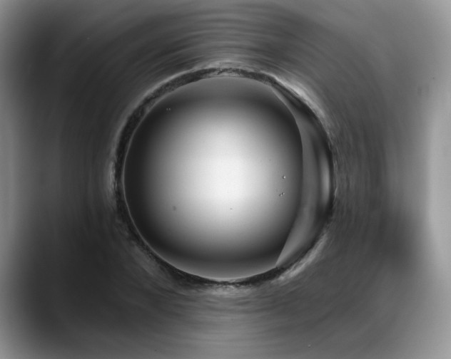 X0000088890880200706081246