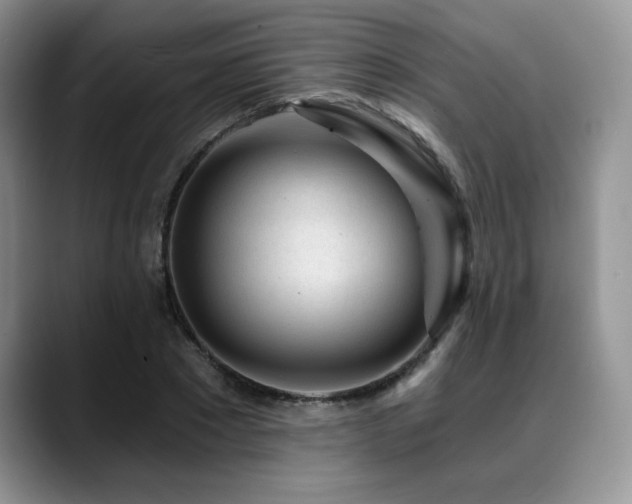 X0000088890881200706081246