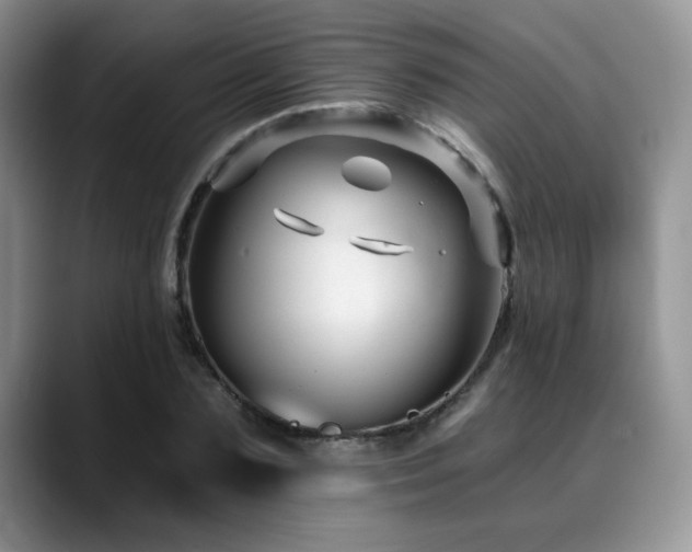 X0000088890883200706081246