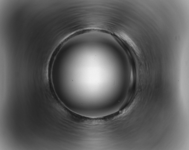 X0000088890884200706081246