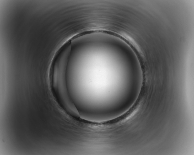 X0000088890885200706081246