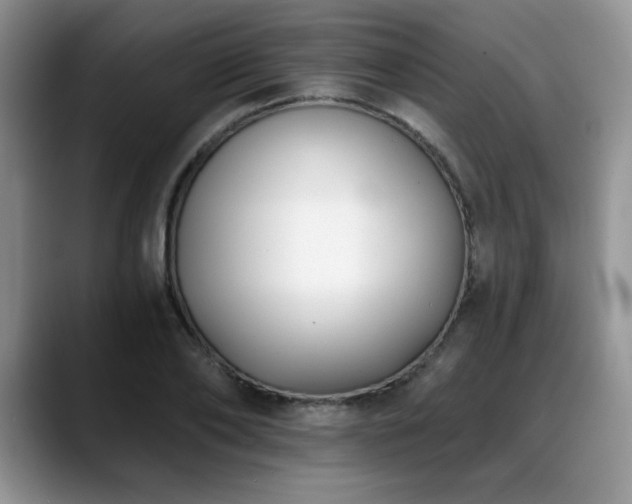 X0000088890886200706081246