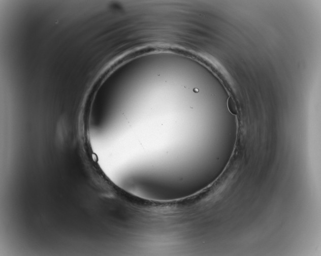 X0000088890887200706081246