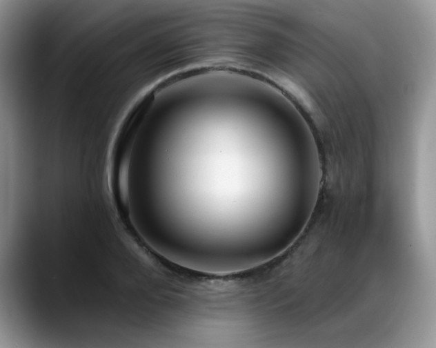 X0000088890888200706081246