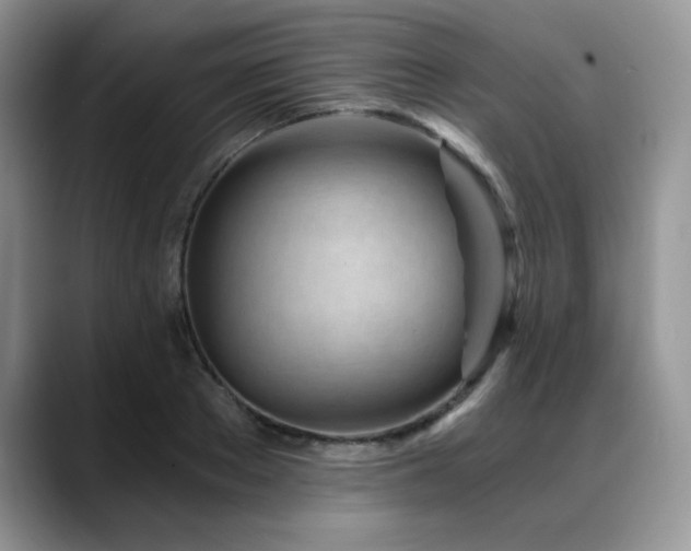 X0000088890889200706081246