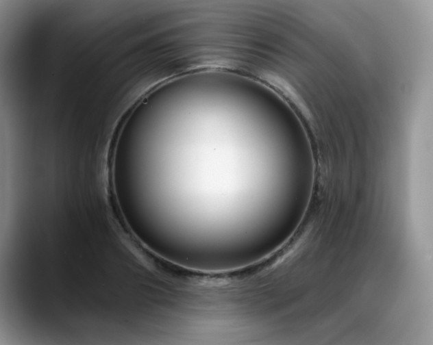 X0000088890890200706081246