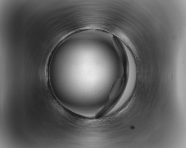 X0000088890892200706081246