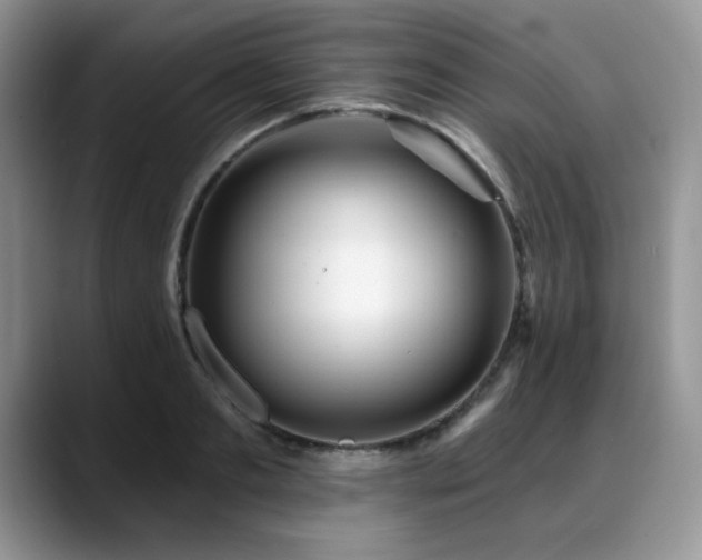 X0000088890893200706081246