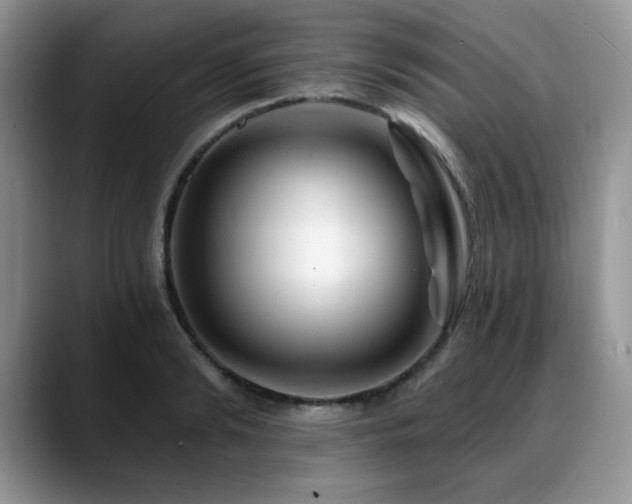 X0000088890894200706081246