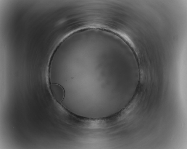 X0000088890895200706081246