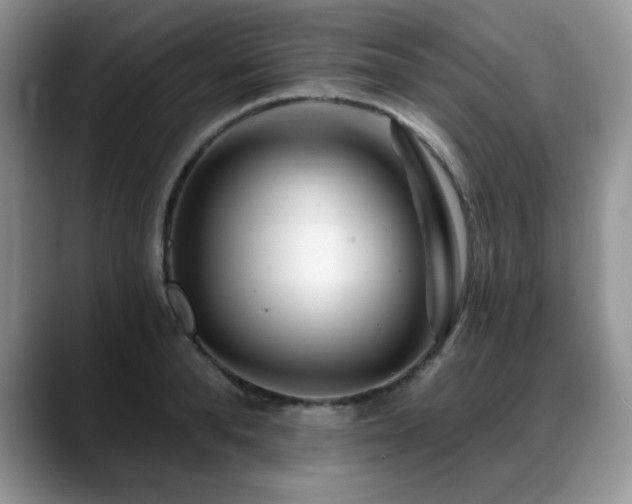 X0000088890896200706081246