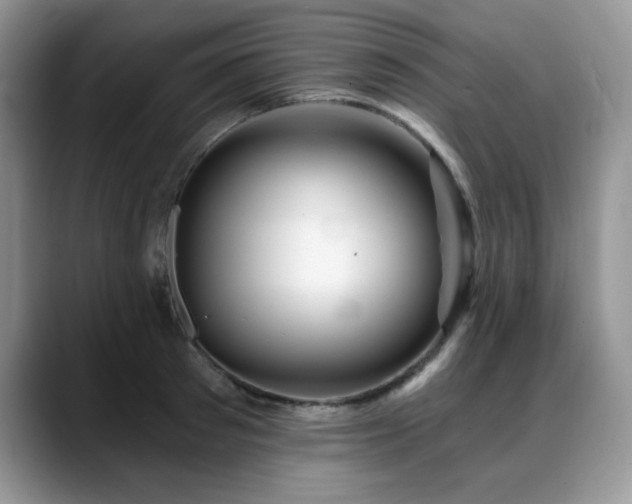 X0000088890897200706081246