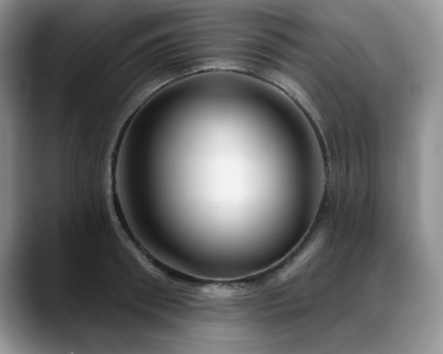 X0000088890898200706081246