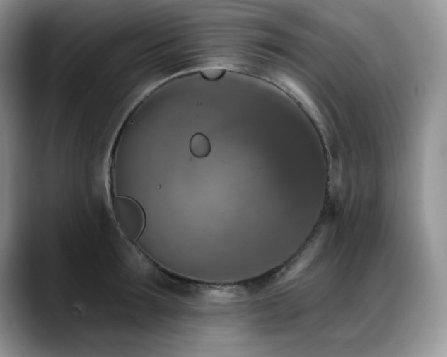 X0000088890899200706081246