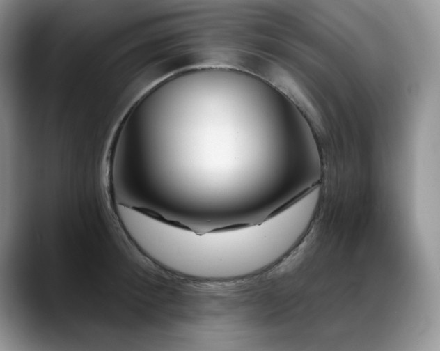 X0000088890900200706081246