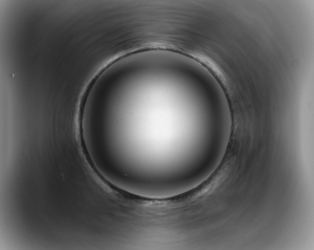 X0000088890902200706081246